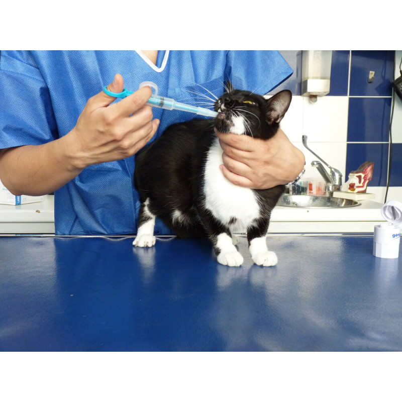 INTRODUCTOR DE PÍLDORAS